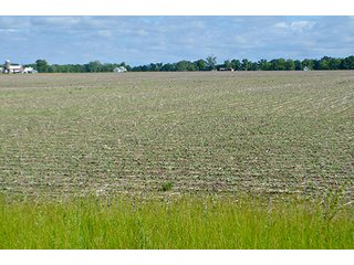 Property photo 14 - FARM & LAND AUCTION - 125+/- ACRES OFFERED IN 5 TRACTS IN EAST ALLEN COUNTY, INDIANA